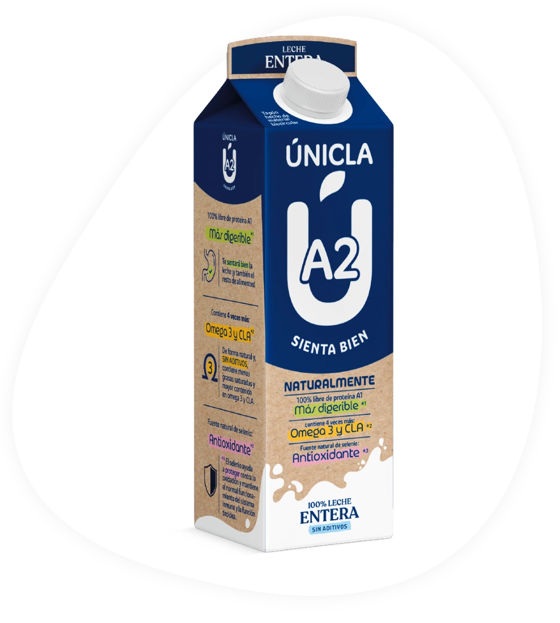 Leche entera